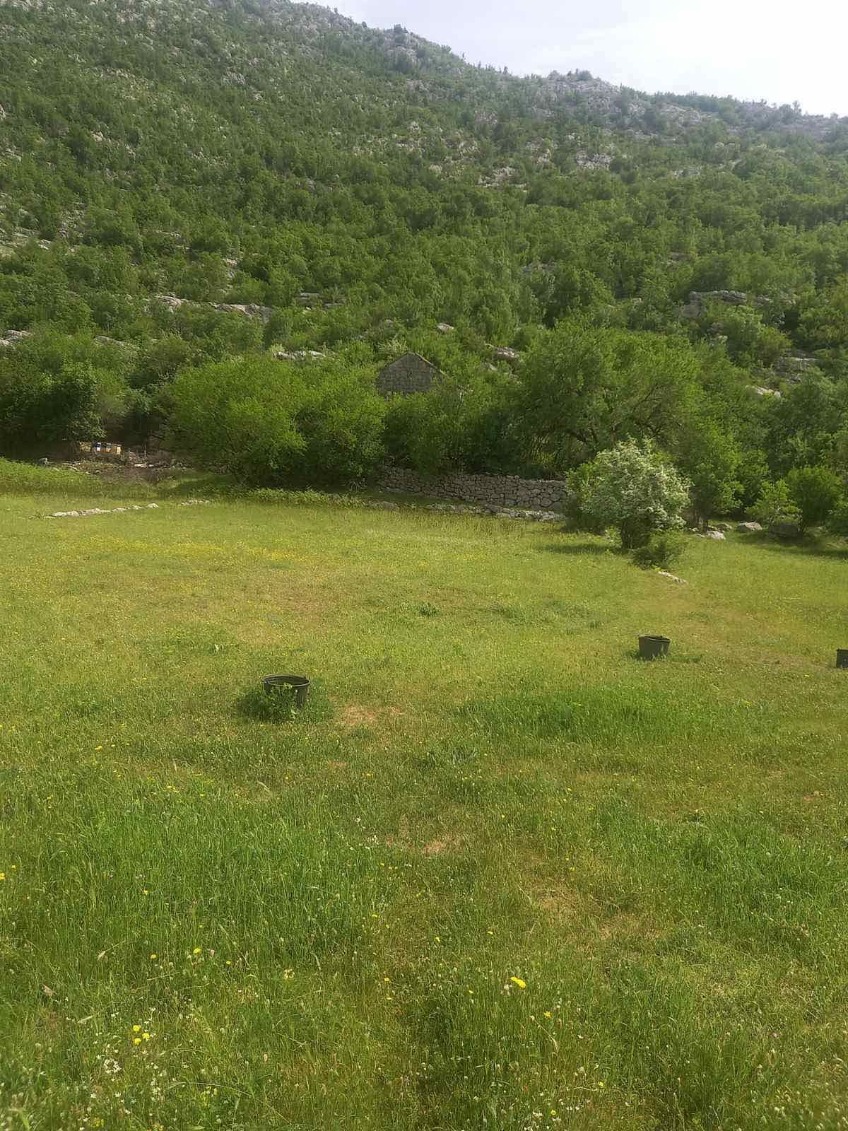 Neurbanizovano zemljiste površine 46.676m2 u mestu Dragalj,opština Kotor. - Amfora Real Estate