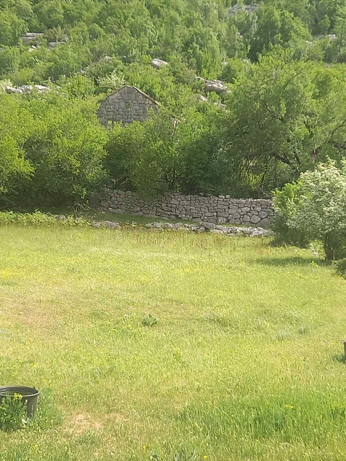 Neurbanizovano zemljiste površine 491,760m2 u mestu Dragalj,opština Kotor. - Amfora Real Estate