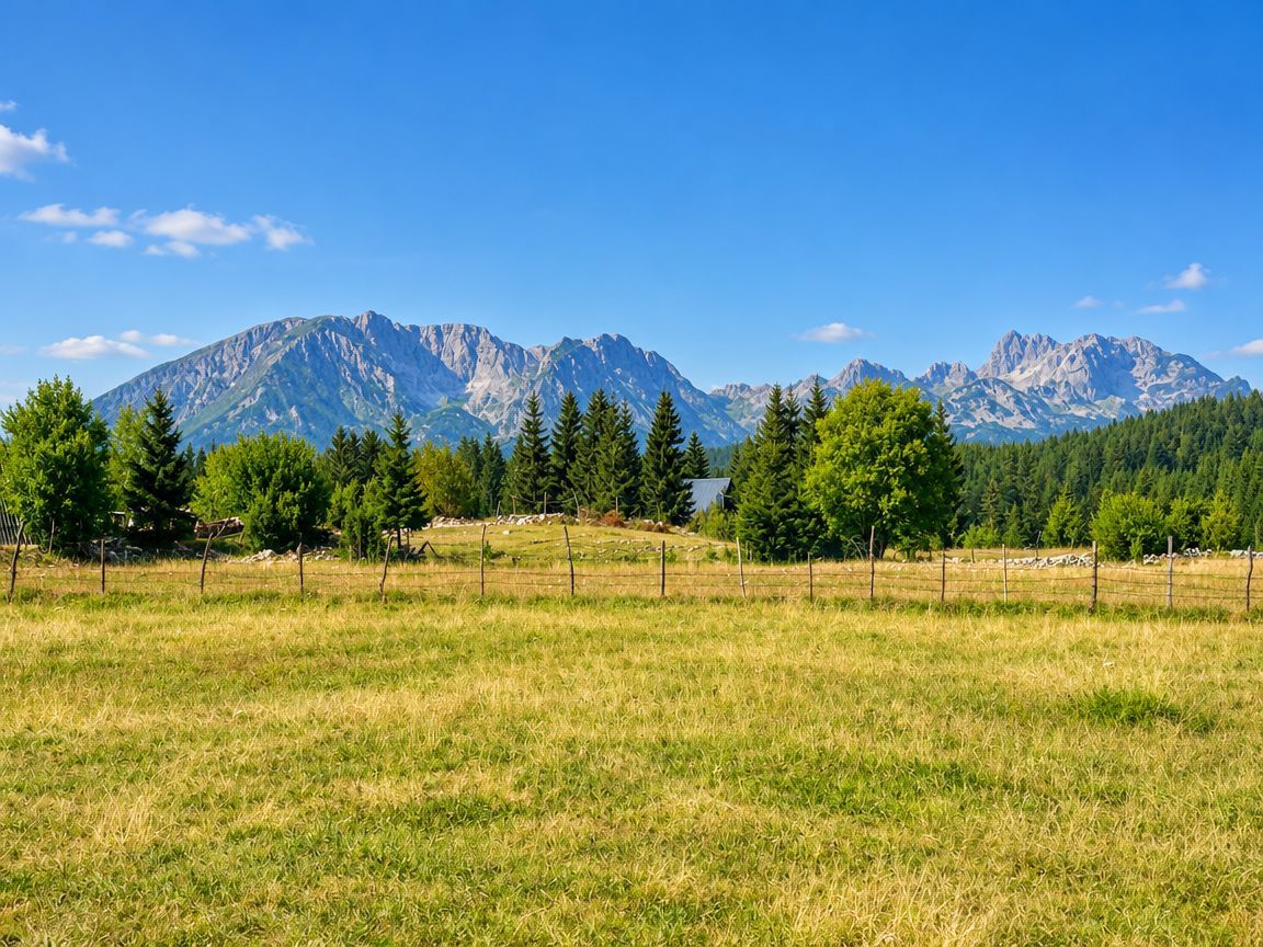 Prodaja zemljista 751 m² – Borje, Žabljak - Amfora Real Estate
